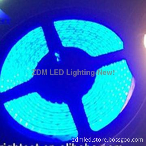 high quality 5050&3528 blue led strip lighting